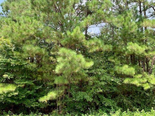 10 Acres Hwy 190 E - Photo 1