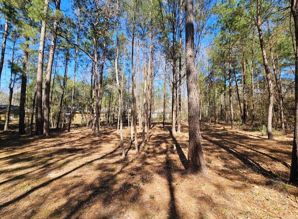 0 Reedwood - Photo 1