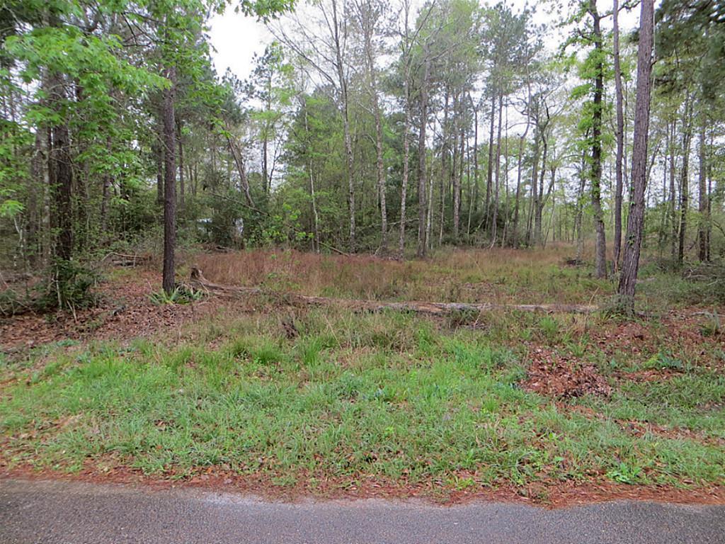 0 Twin Lakes Circle - Photo 1
