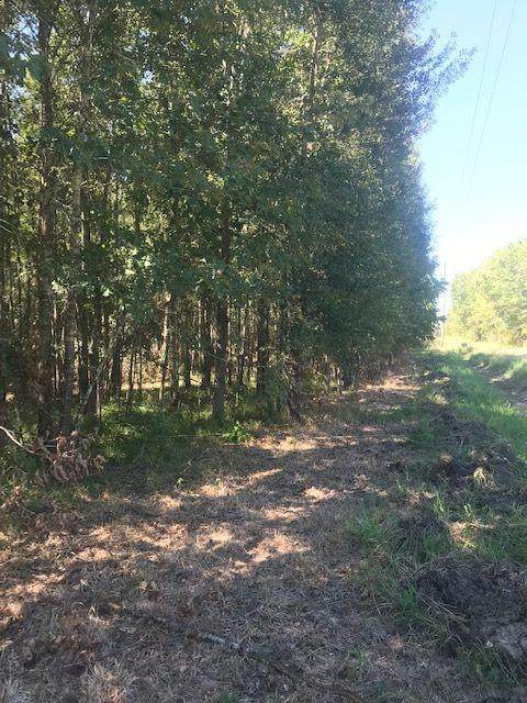 0 County Road 676 - Photo 1