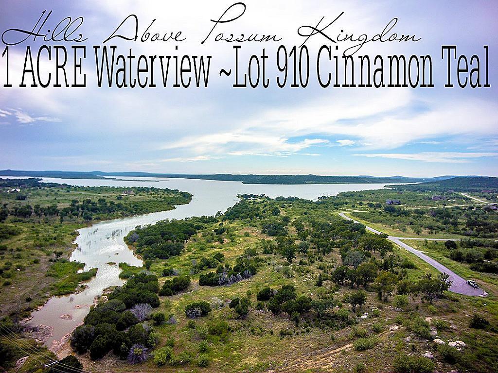Lot 910 Cinnamon Teal - Photo 1