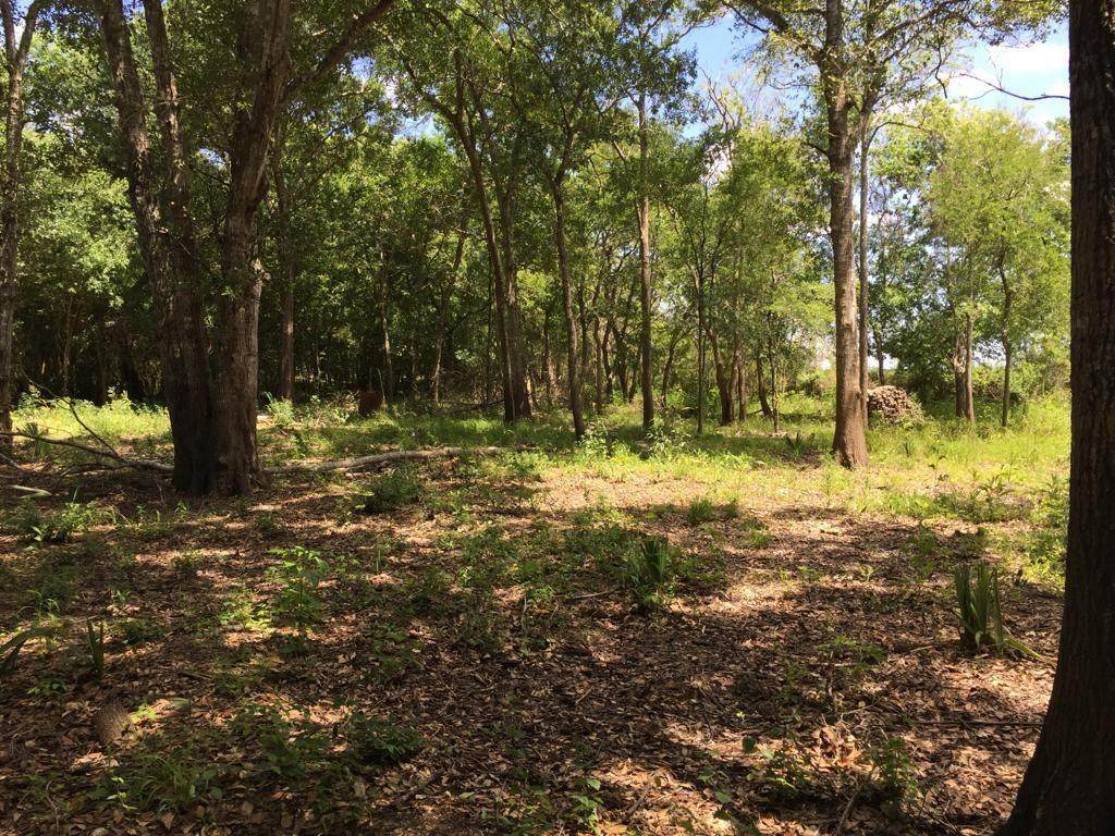 TBD Bayou Dr County Road 848 - Photo 1