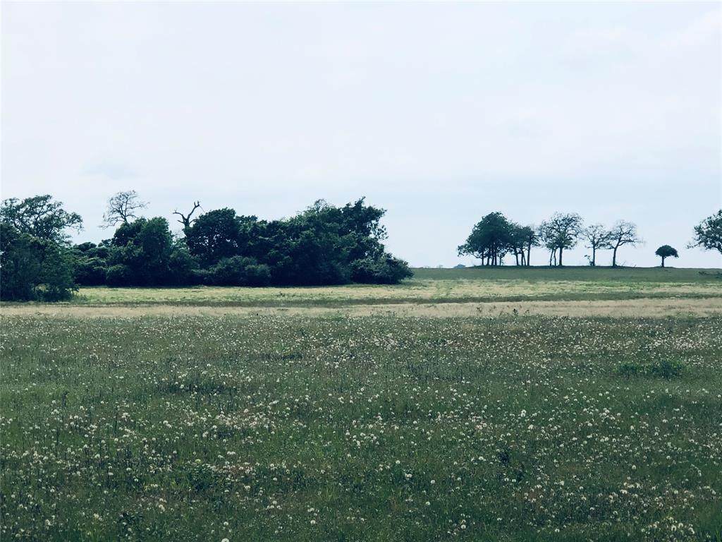 32408 Fm 1488 Road - Photo 1
