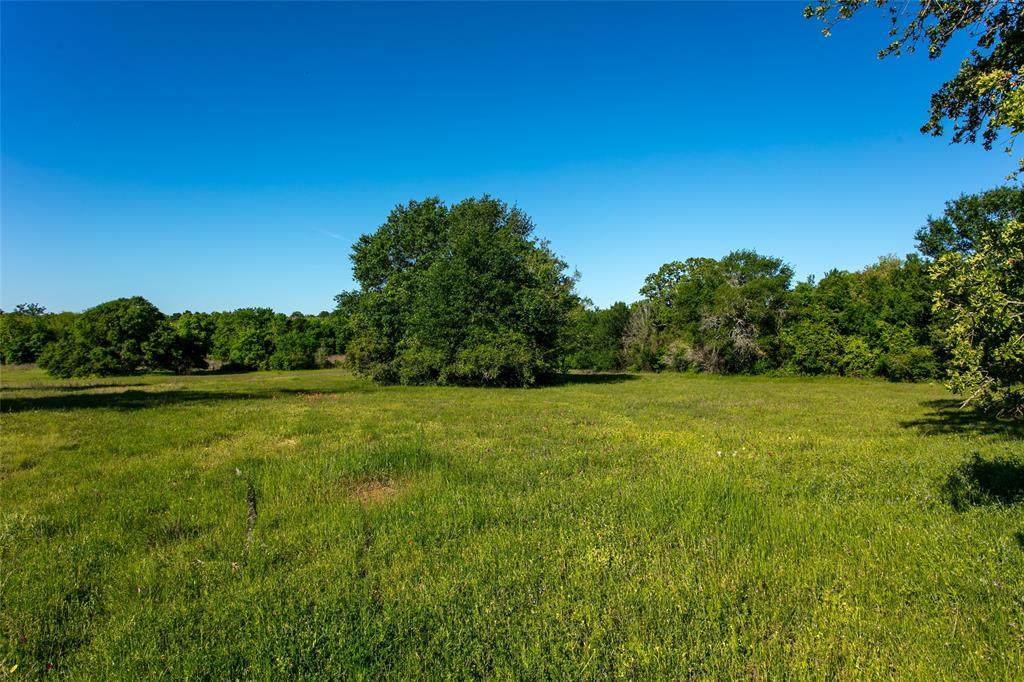Lot 7A Brazos Court - Photo 1
