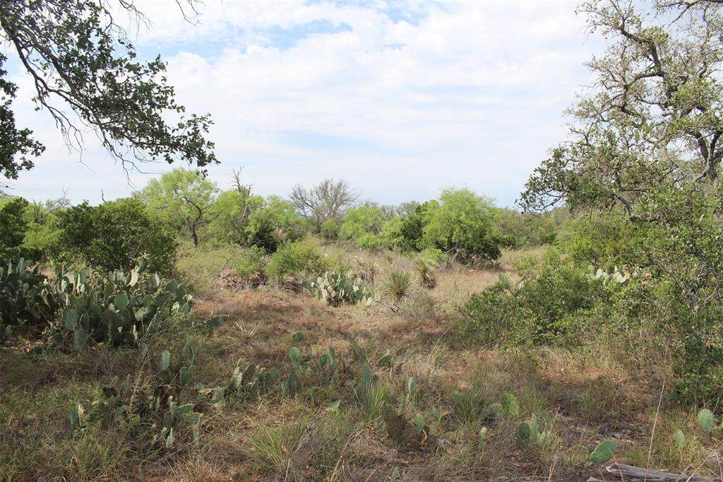 000 Tx-29 Highway - Photo 1