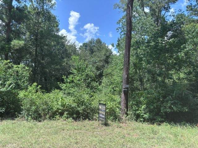 30651 S Walnut Creek Drive - Photo 1