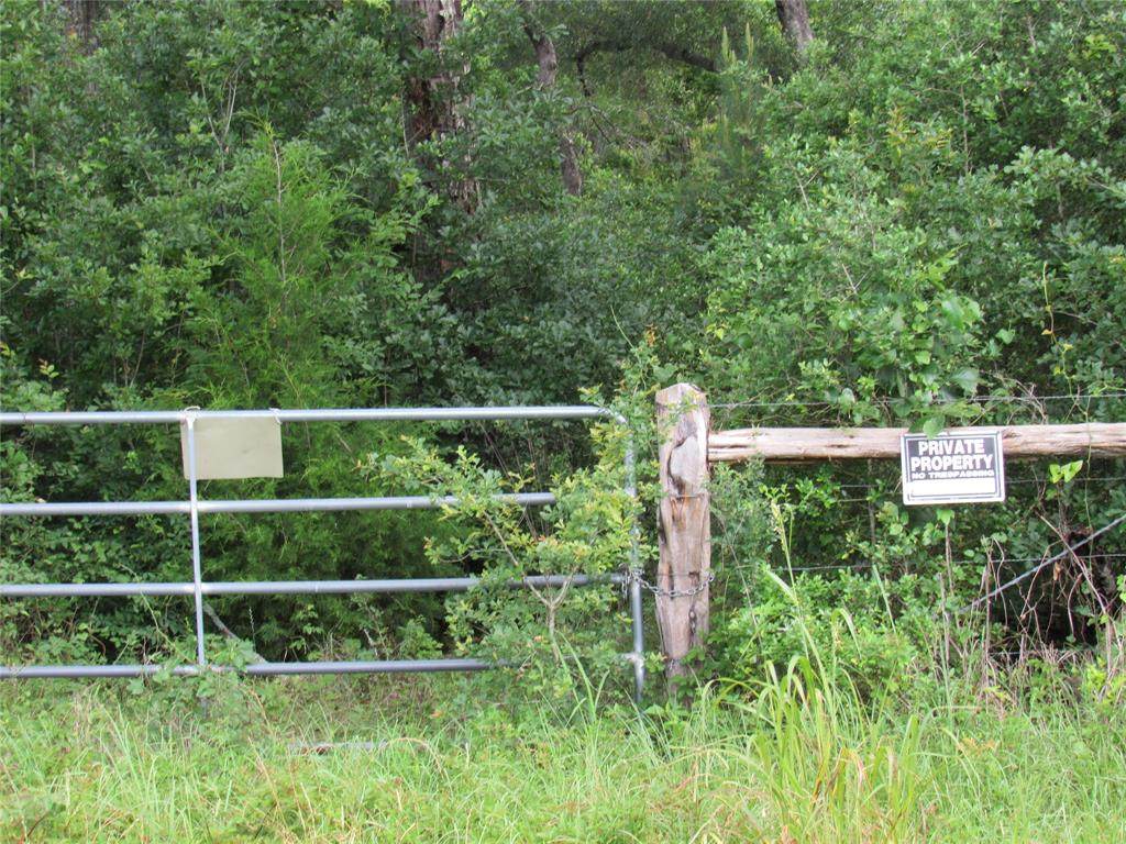30090 Joseph Road - Photo 1