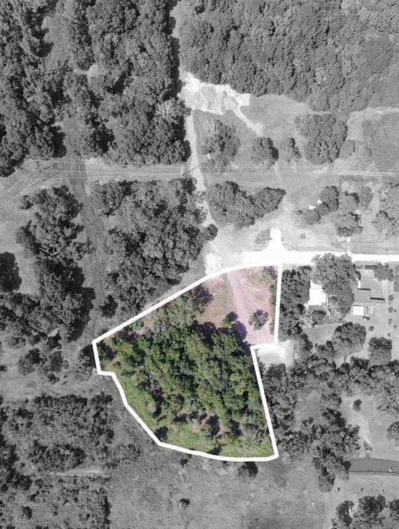 Lot 4 Forrest Trail - Photo 1