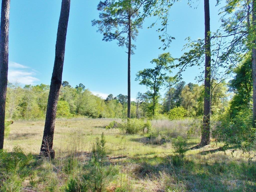10211 Paradise Valley - Photo 1