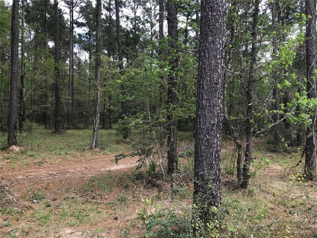0 Mathis Dairy Road - Photo 1