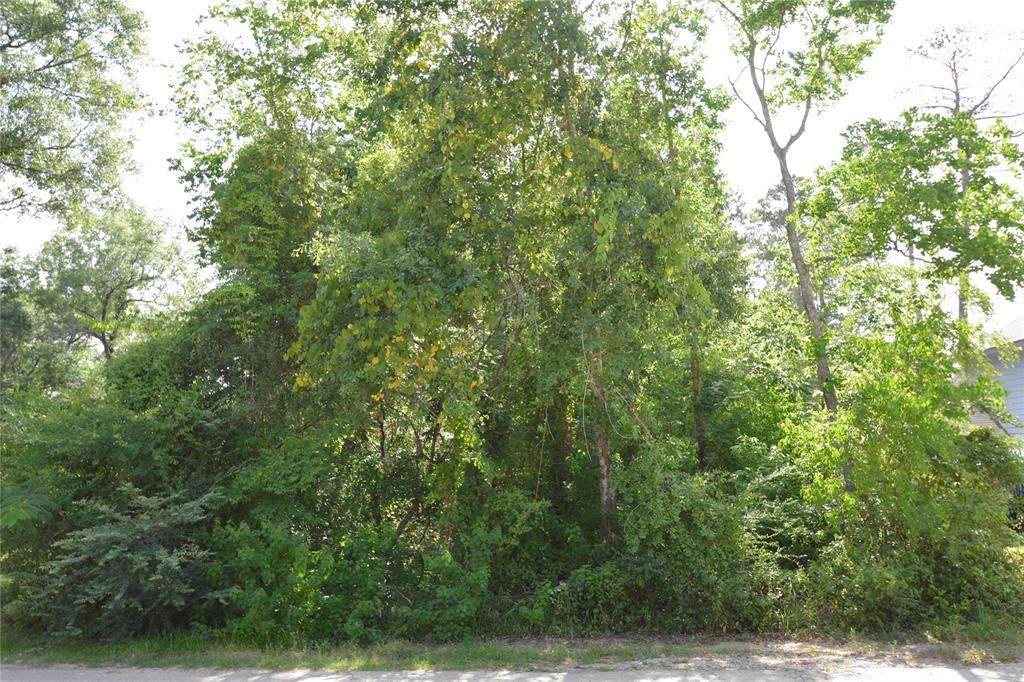 14835 Bowie Ln - Photo 1