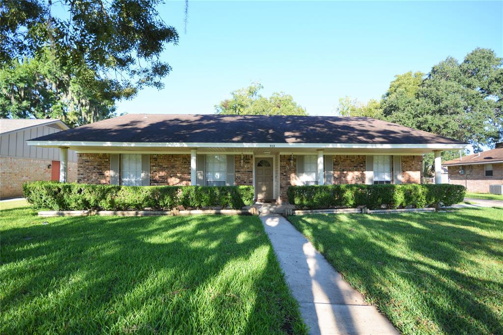 313 Petunia Street - Photo 1