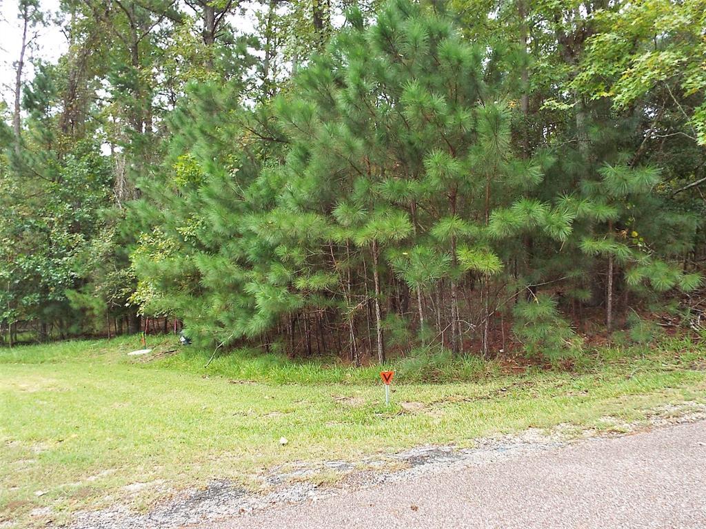 42 Royale Greens Drive - Photo 1