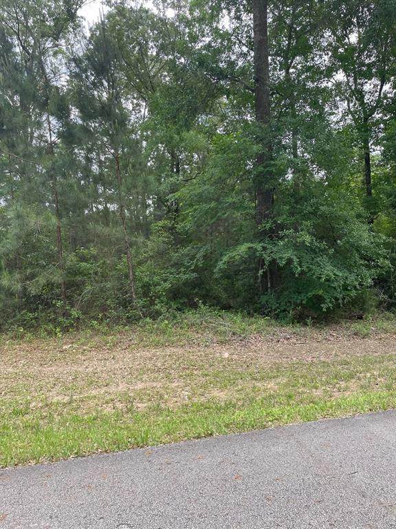 00-0 Cottonwood Place - Photo 1
