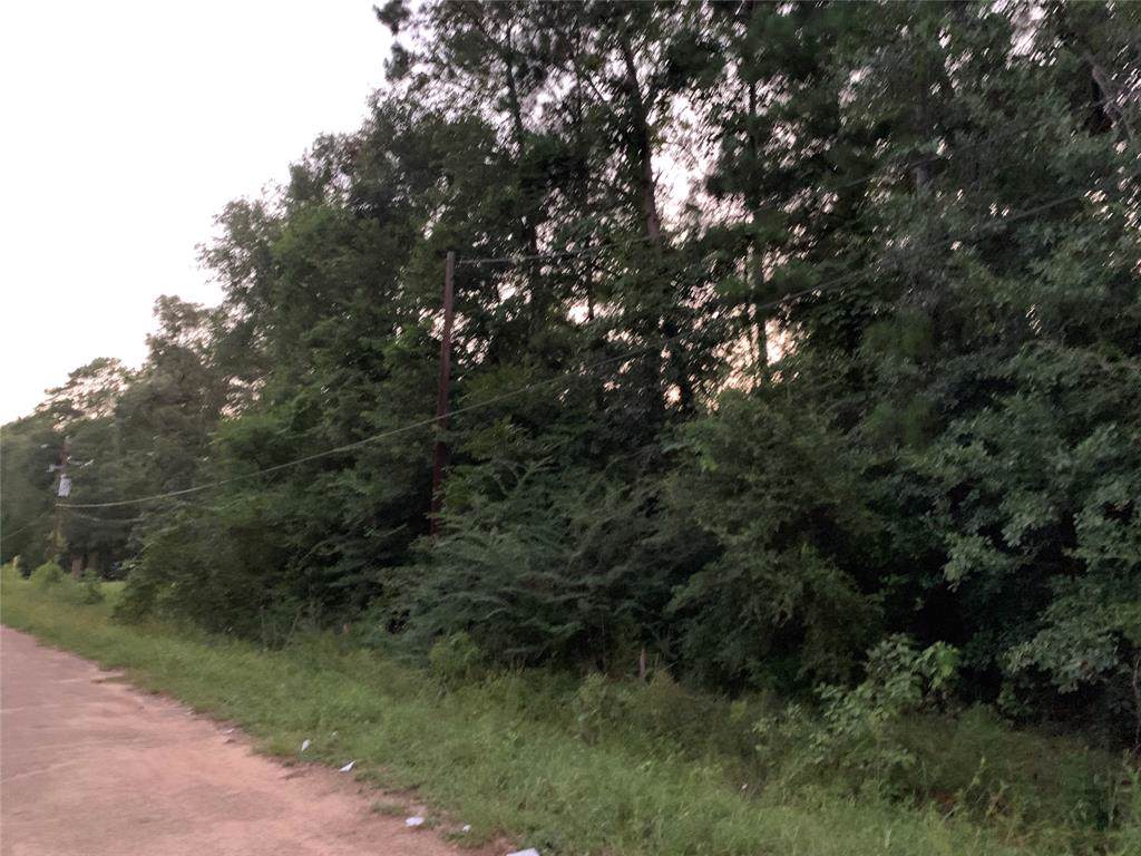0 Sandchester Trail - Photo 1