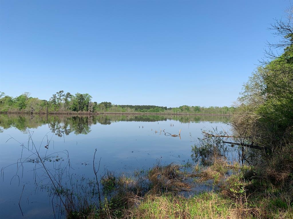 00000 State Highway 294 - Photo 1