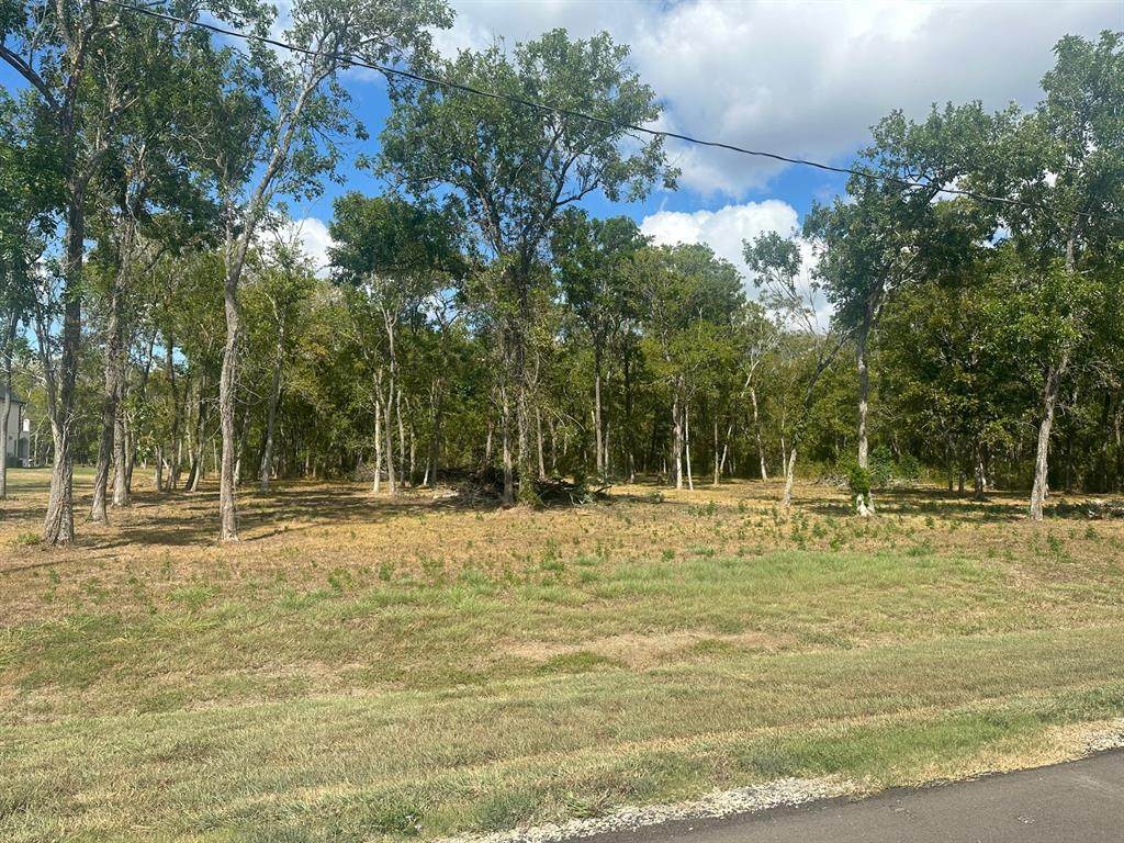 33610 Blue Marlin Drive - Photo 1