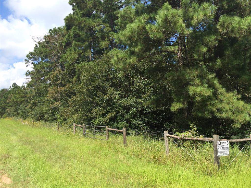 26980 Riley Road - Photo 1