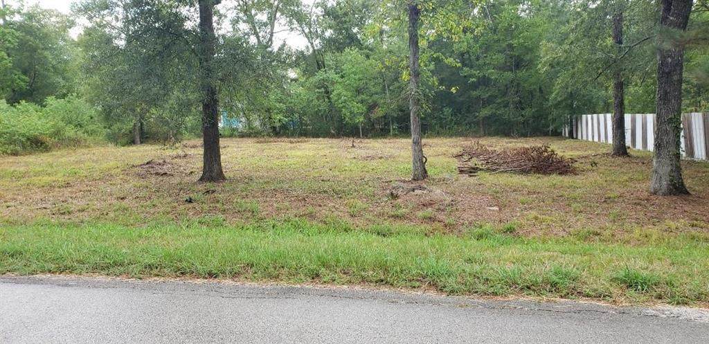 1422 Black Bear Drive - Photo 1