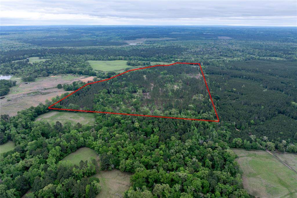 0 County Road 1170 - Photo 1