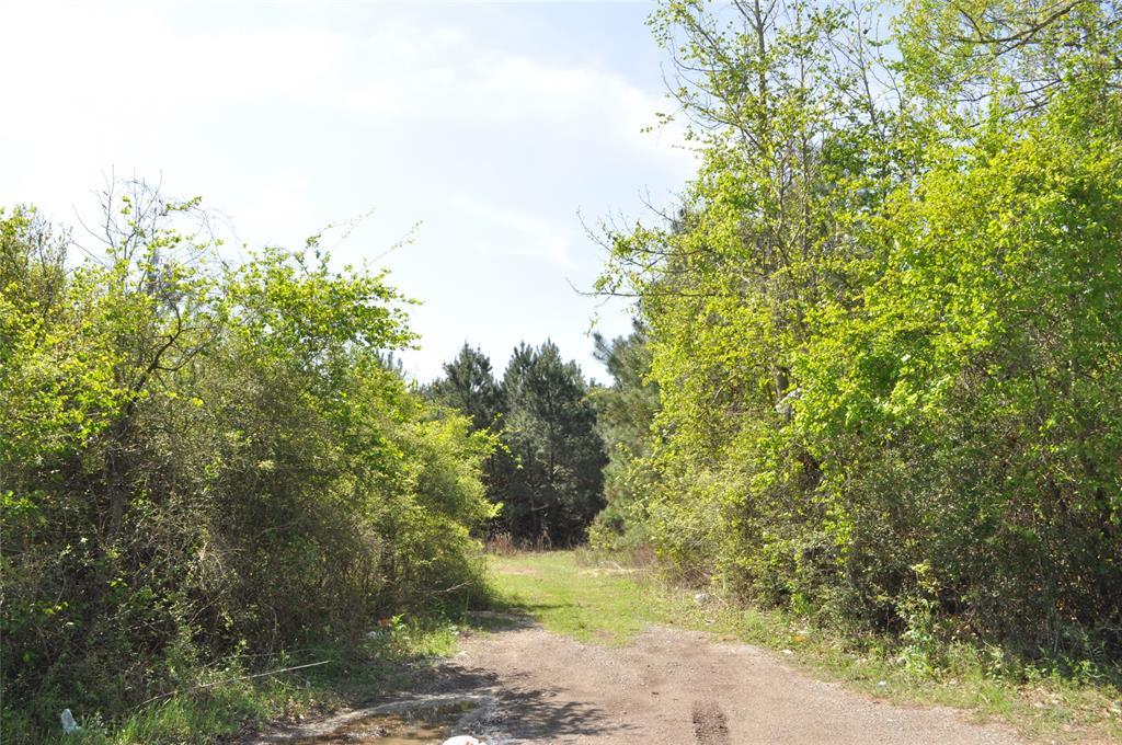 974 Fm 1131 - Photo 1
