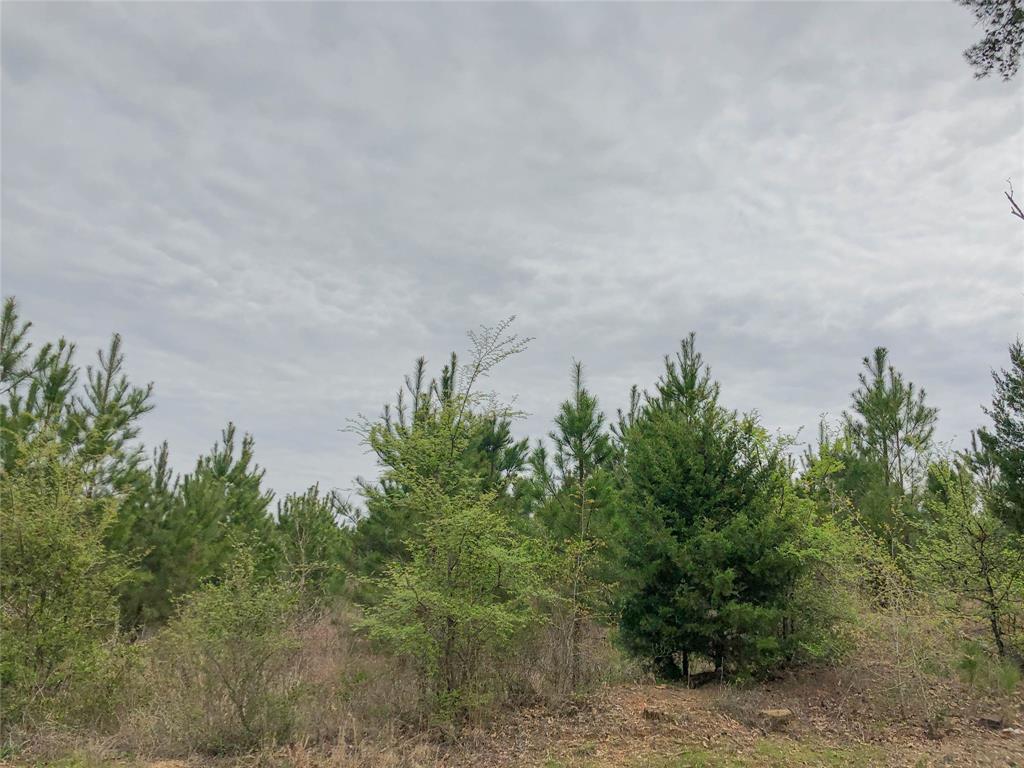 0 Cr 1779 - Photo 1