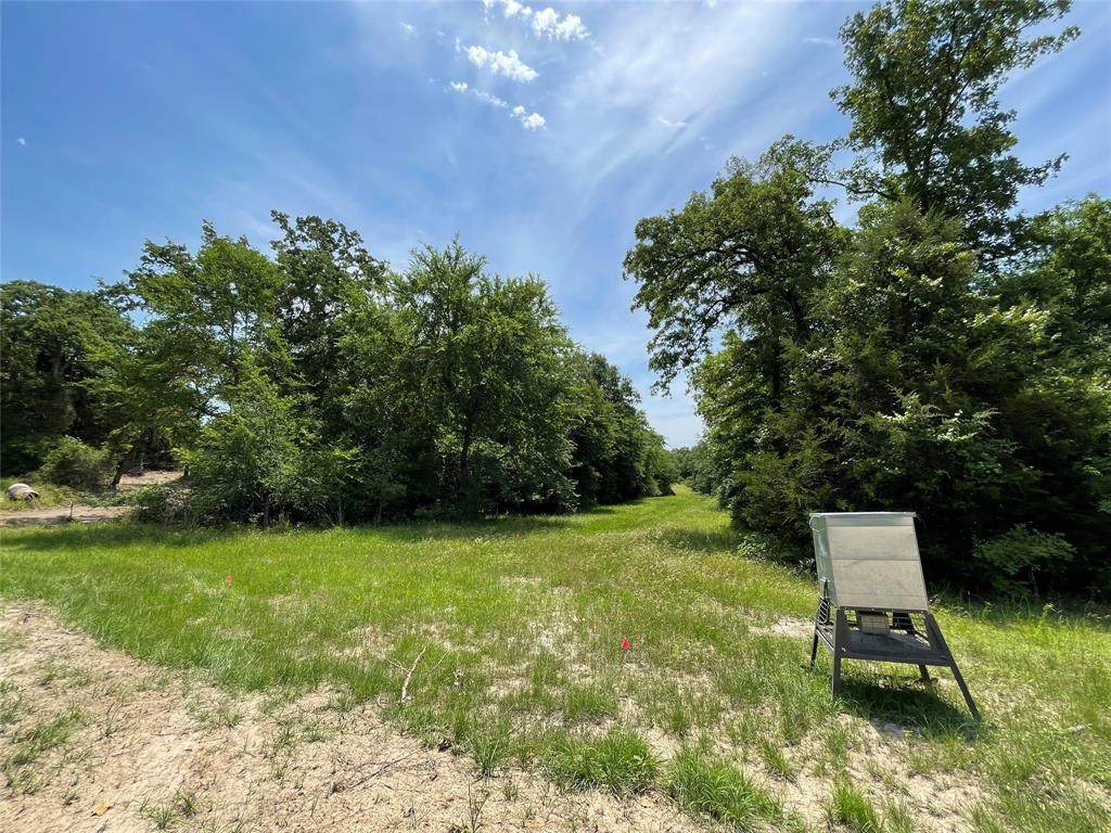TBD Tract 15 Fm 3285 - Photo 1