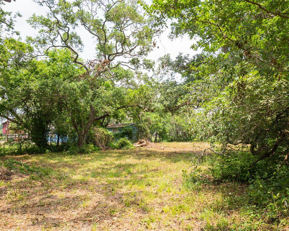 0 Guinevere Drive - Photo 1