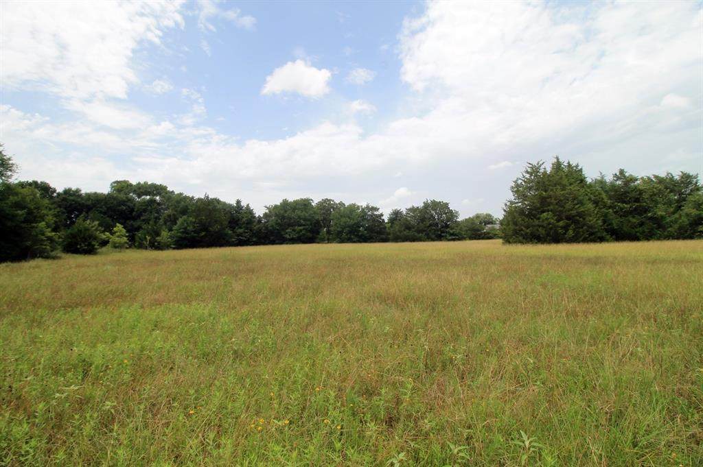 TBD Tract B County Road 118 - Photo 1