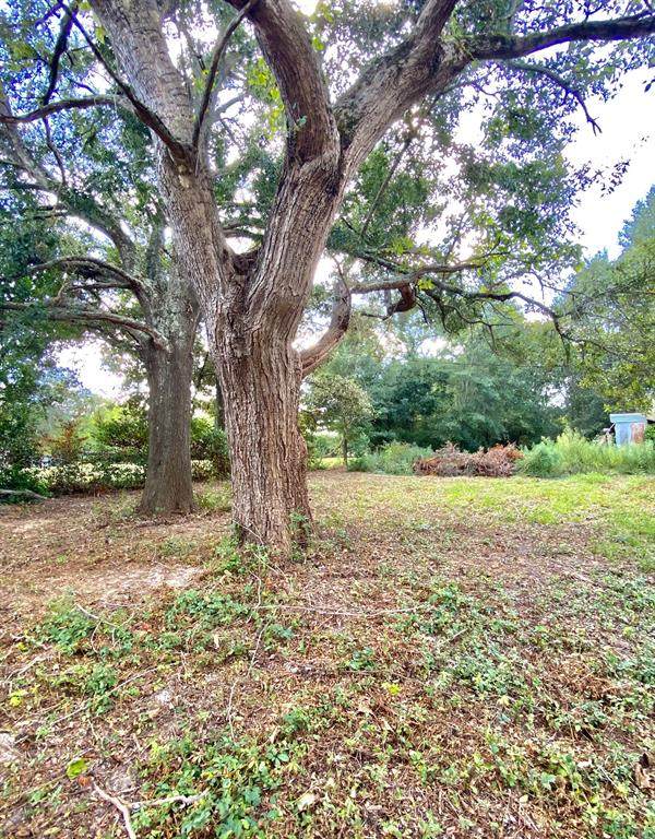 301 Augusta Street - Photo 1