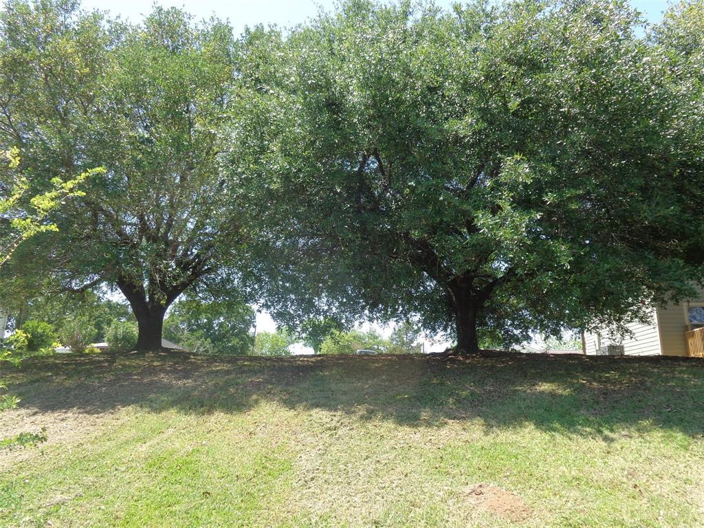 TBD Beacon Lane - Photo 1