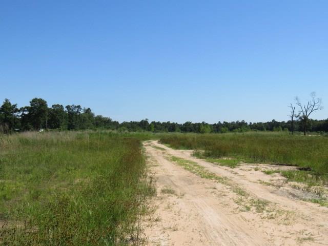 18500 Fm 2090 Road - Photo 1