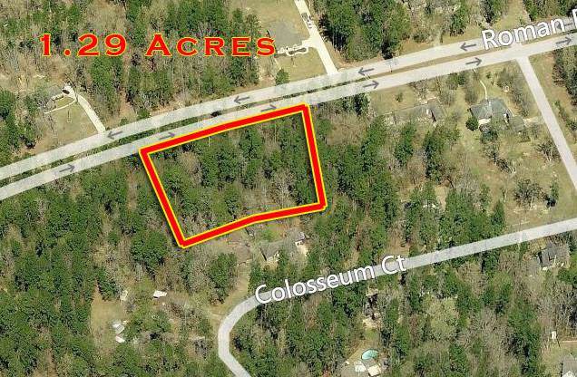 Lts 4,5 Roman Forest Boulevard - Photo 1