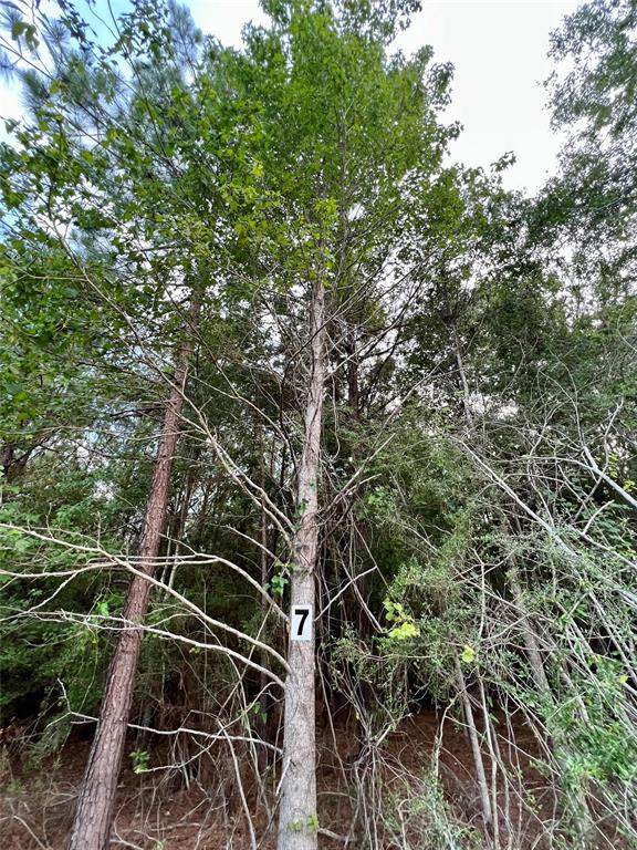 Lot 7 Stonebrook Drive - Photo 1