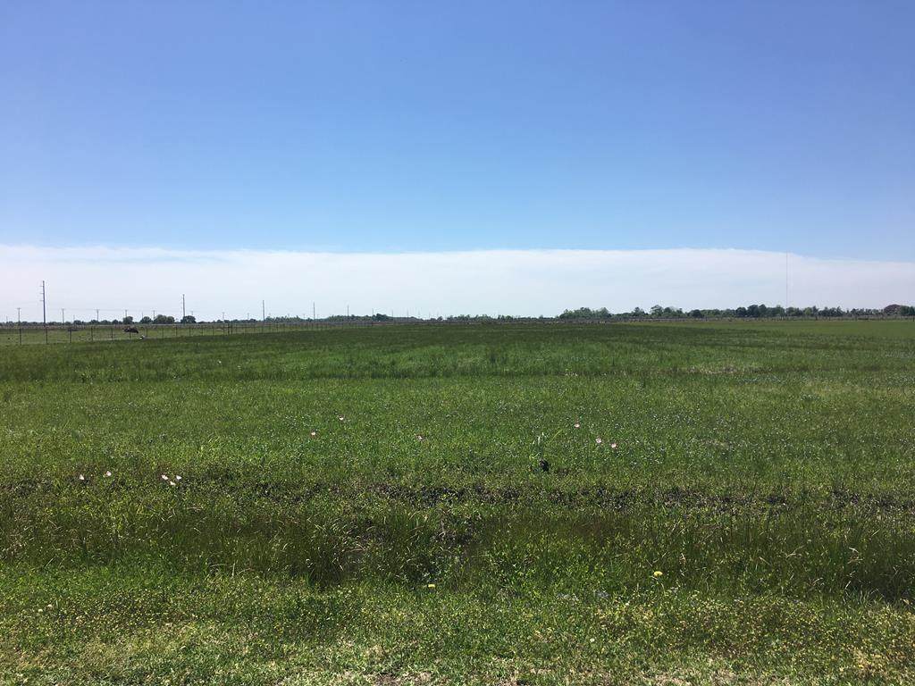 000 Highway 124/ Fig Ridge Road - Photo 1