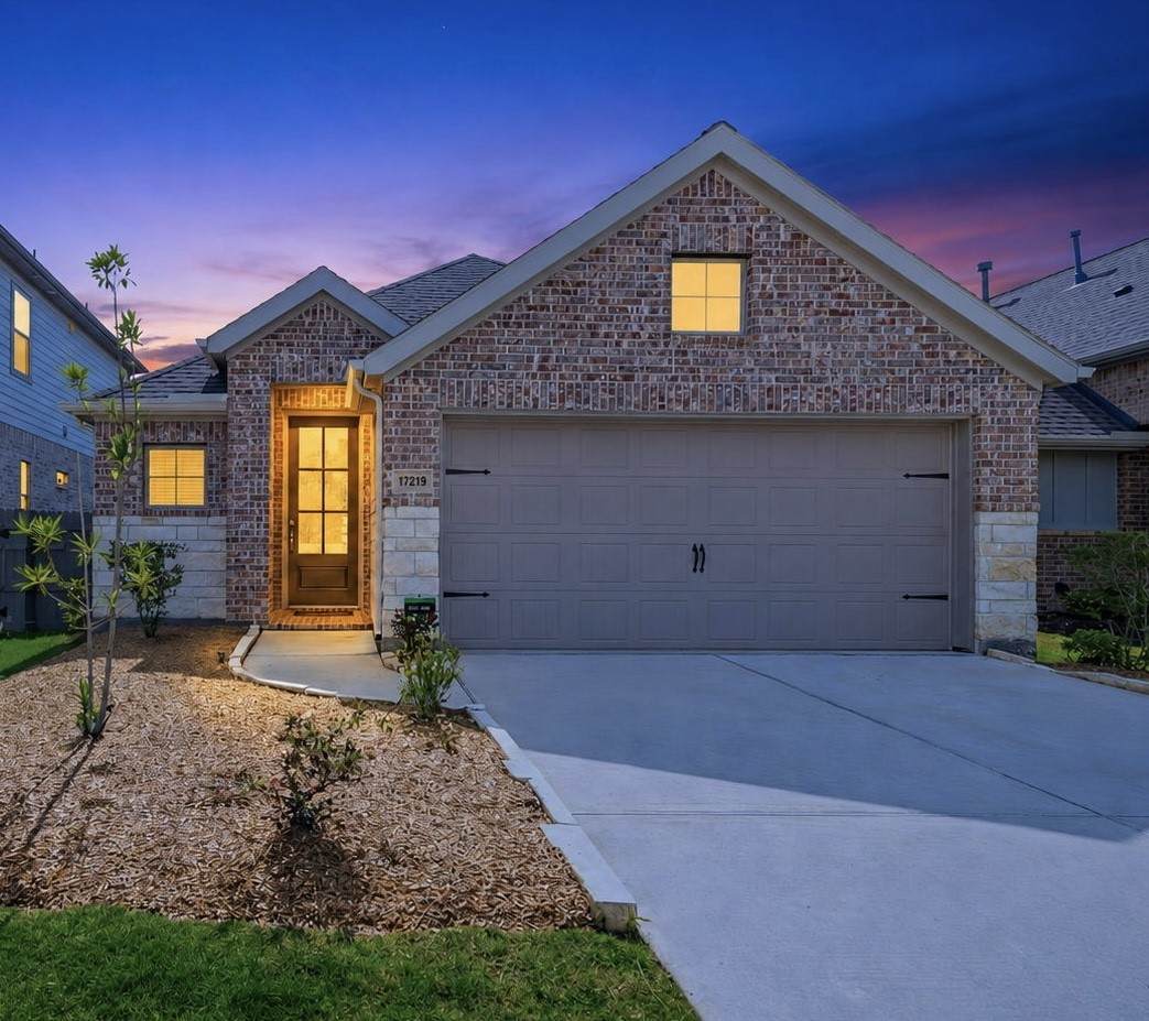 17219 Wild Watermelon Way - Photo 1