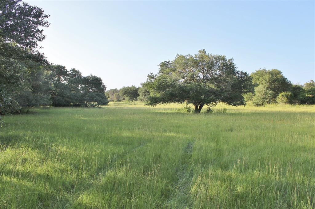 0 Koeppens Trail - Photo 1