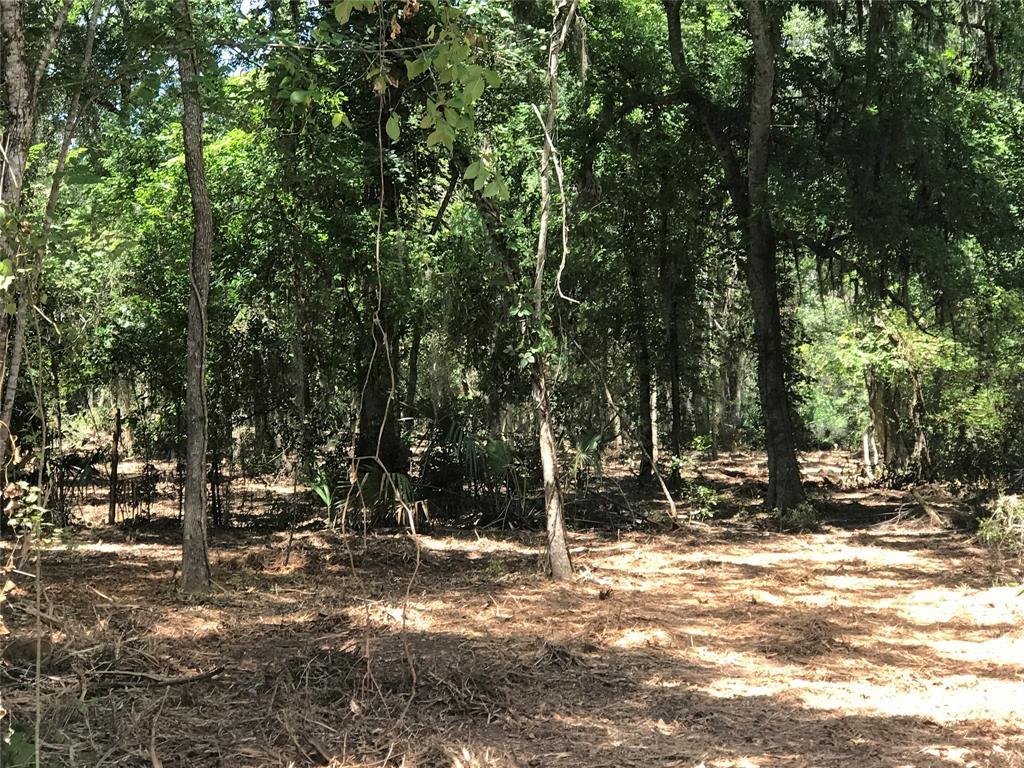 0 County Road 352 - Photo 1