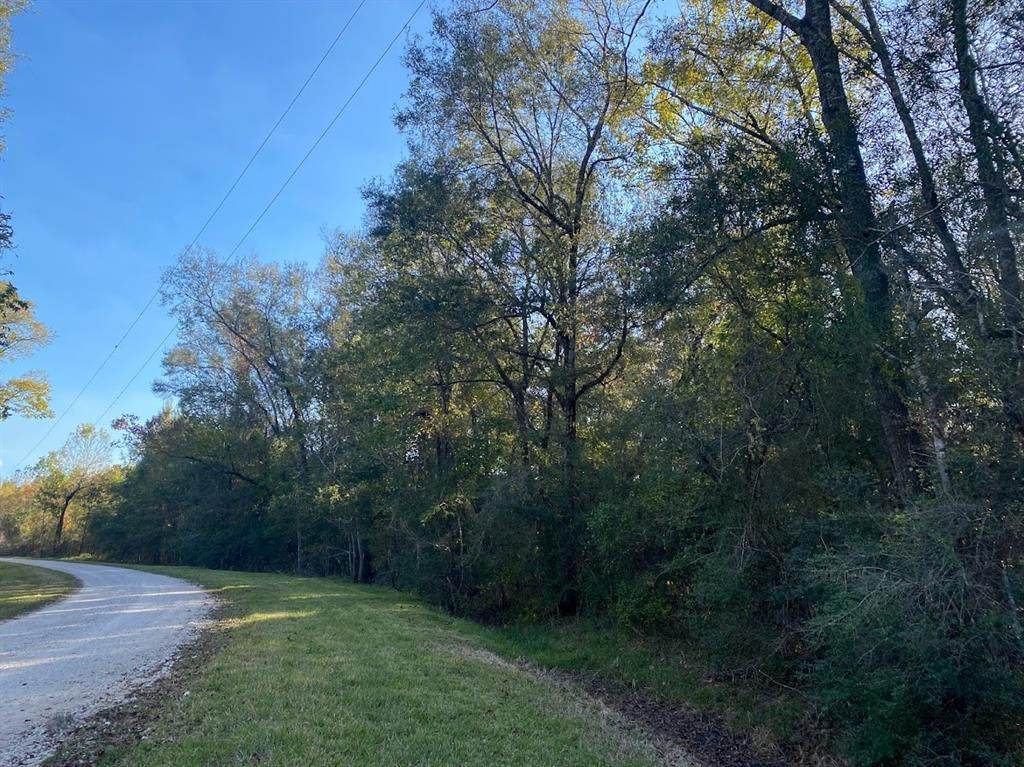 TBD2 County Road 1331 - Photo 1