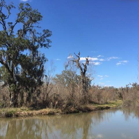 0 County Road 348 - Photo 1