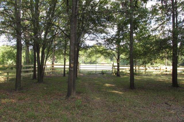 TBD Powell Road - Photo 1