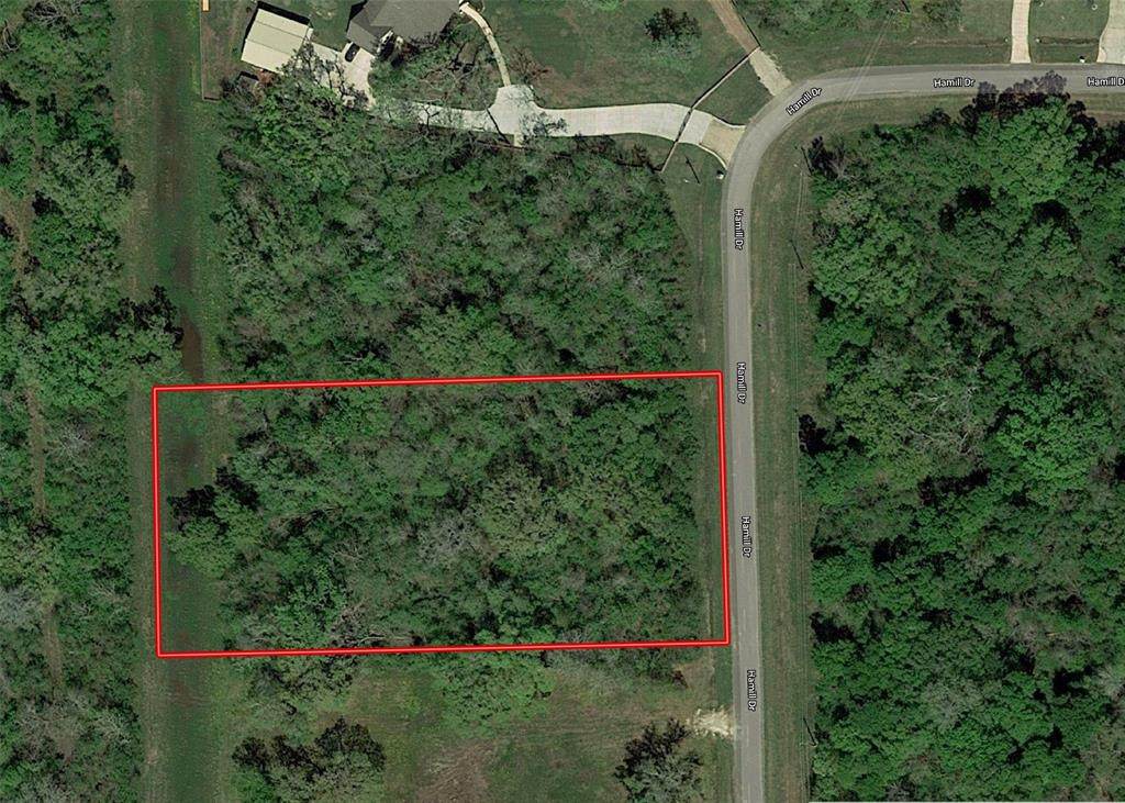 17226 Hamill Drive - Photo 1