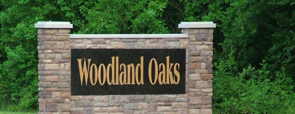 0000 Woodland Oaks Drive - Photo 1 0000 Woodland Oaks Drive - Photo 1
