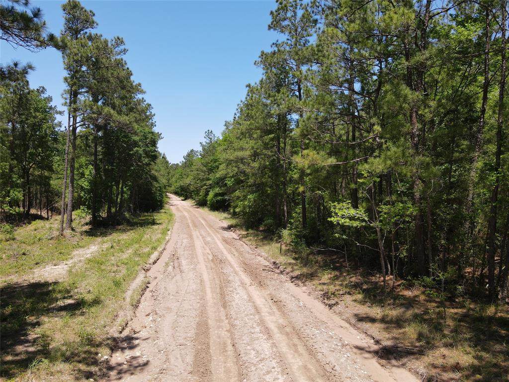TBD Old Highway 287 - Photo 1