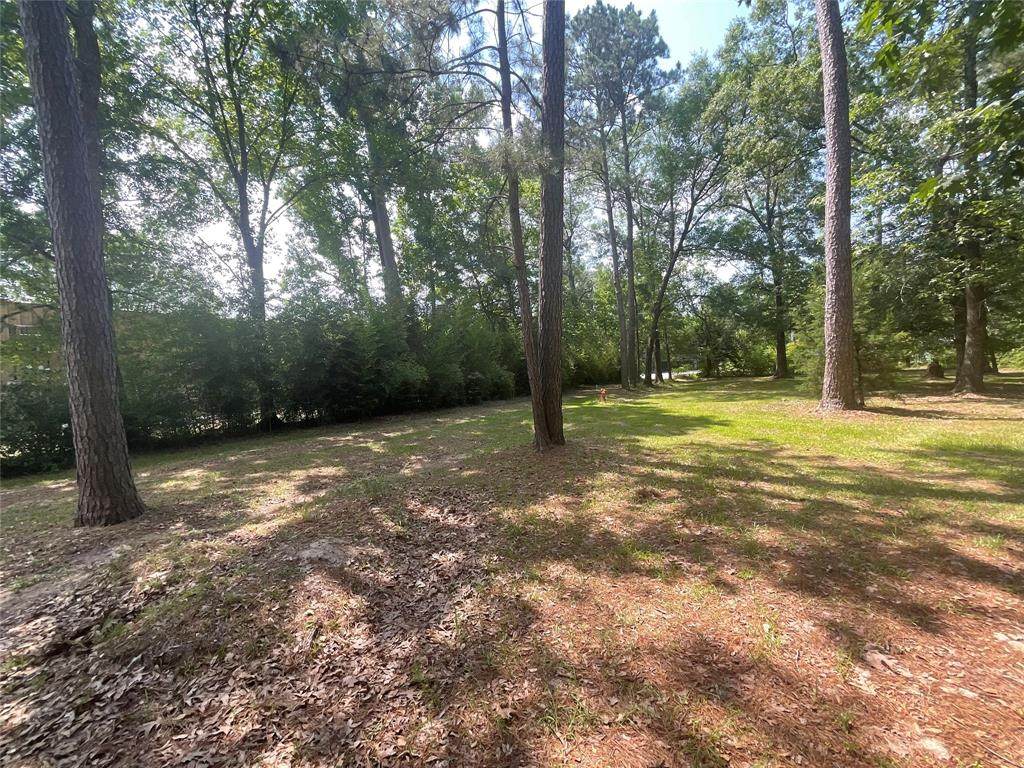 27647 Fm 2090 Road - Photo 1