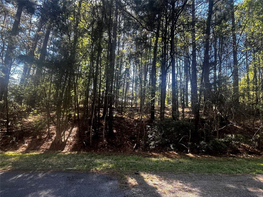 207 Green Tree Drive - Photo 1