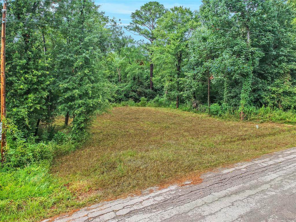 11931 Lakeview Manor Drive - Photo 1
