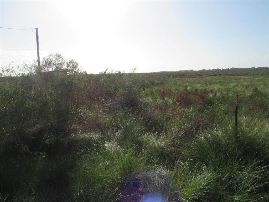 516 County Road 299 - Photo 1