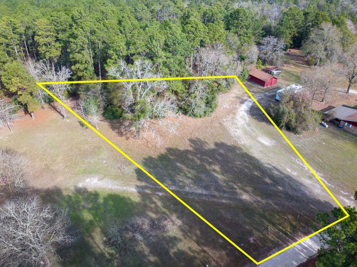 Lot Reserve H Horseshoe Lake Drive - Photo 1