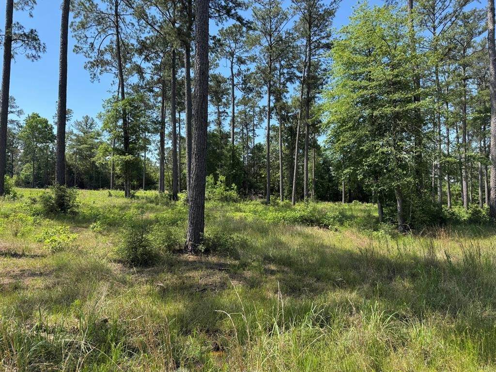 006 Private Road 6028 Tract 1-6 - Photo 1